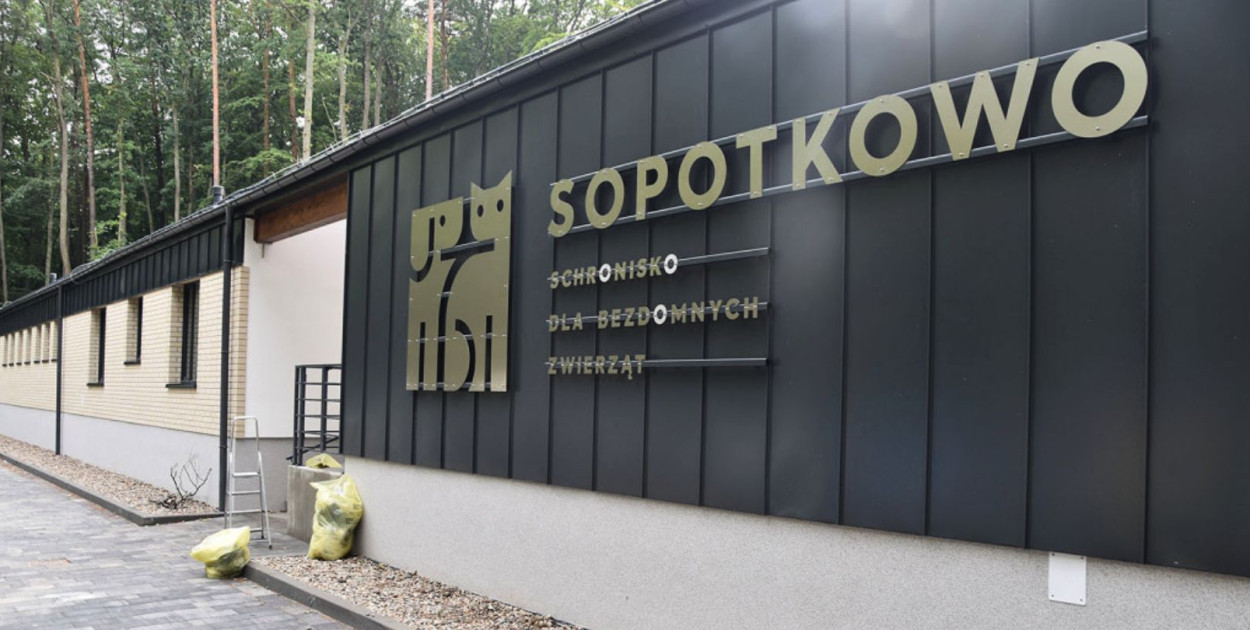 Schronisko przyszłości. Jak Sopotkowo usprawnia proces adopcji zwierząt?