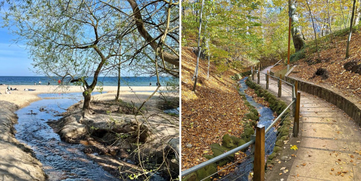 Tajemnicze potoki Sopotu. Gdzie dziś płyną i co skrywają?