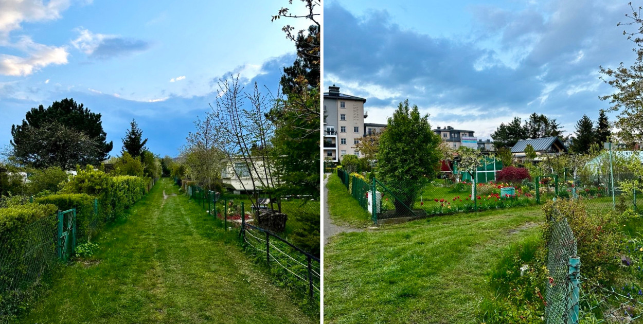 Działki ROD w Sopocie i Polsce. Relikt komunizmu czy zielone płuca miasta?