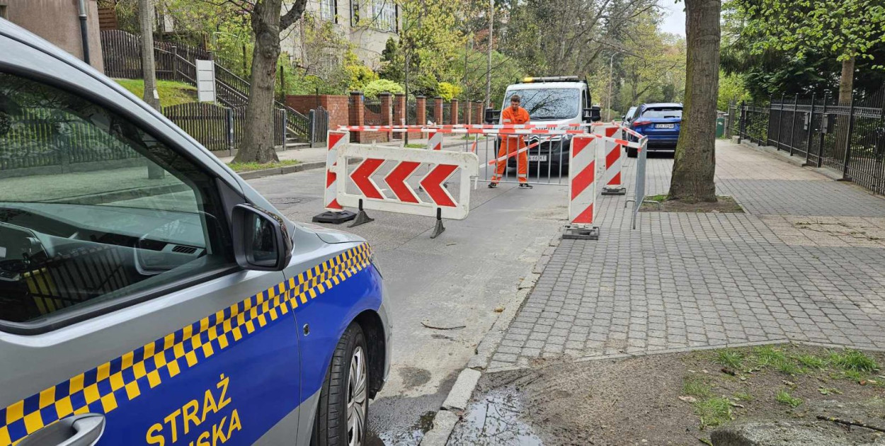 Fot. Zarząd Dróg i Zieleni w Sopocie