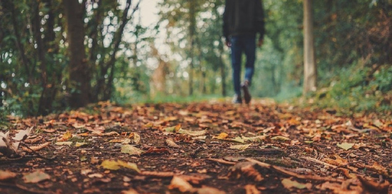 Fot. Pixabay - zdjęcie poglądowe