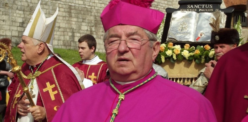 Fot. Piotr Drabik from Poland, CC BY 2.0, via Wikimedia Commons
