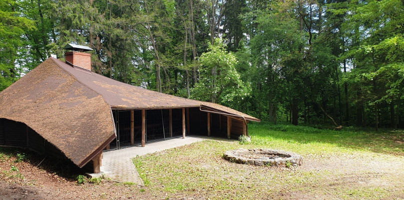 Fot. Nadleśnictwo Gdańsk