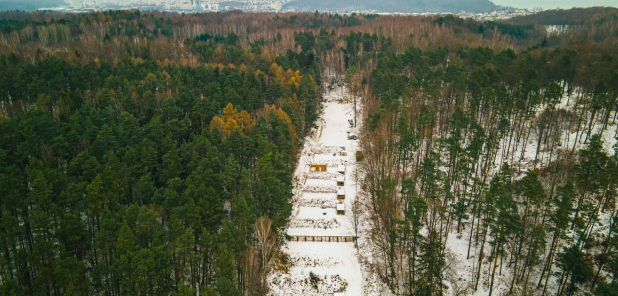 Fot. Piotr Król / Gdynia.pl