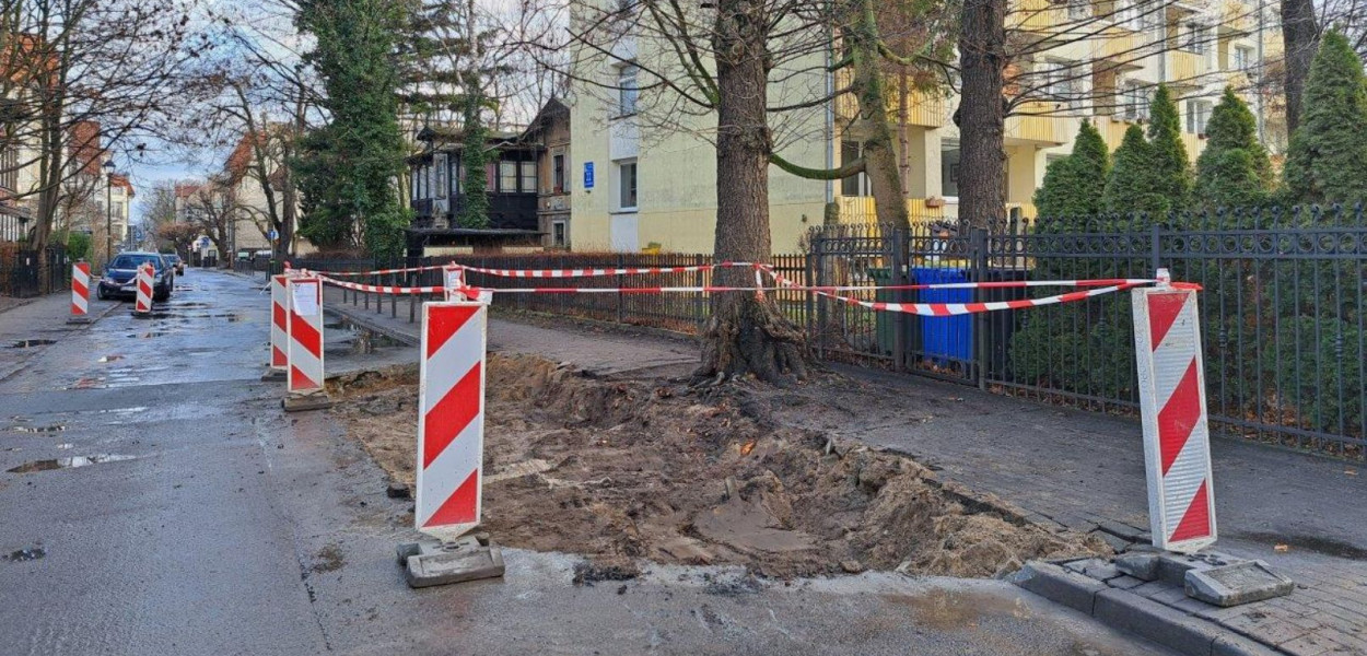 Fot. ZDiZ Sopot