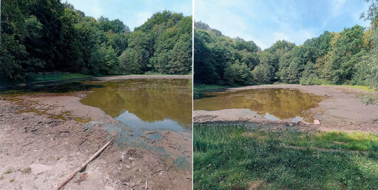 Źródło: załączniki do petycji ws. ratowania stawu Morskie Oko (Jezioro Nowowiejskiego), przy drodze do Opery Leśnej. 