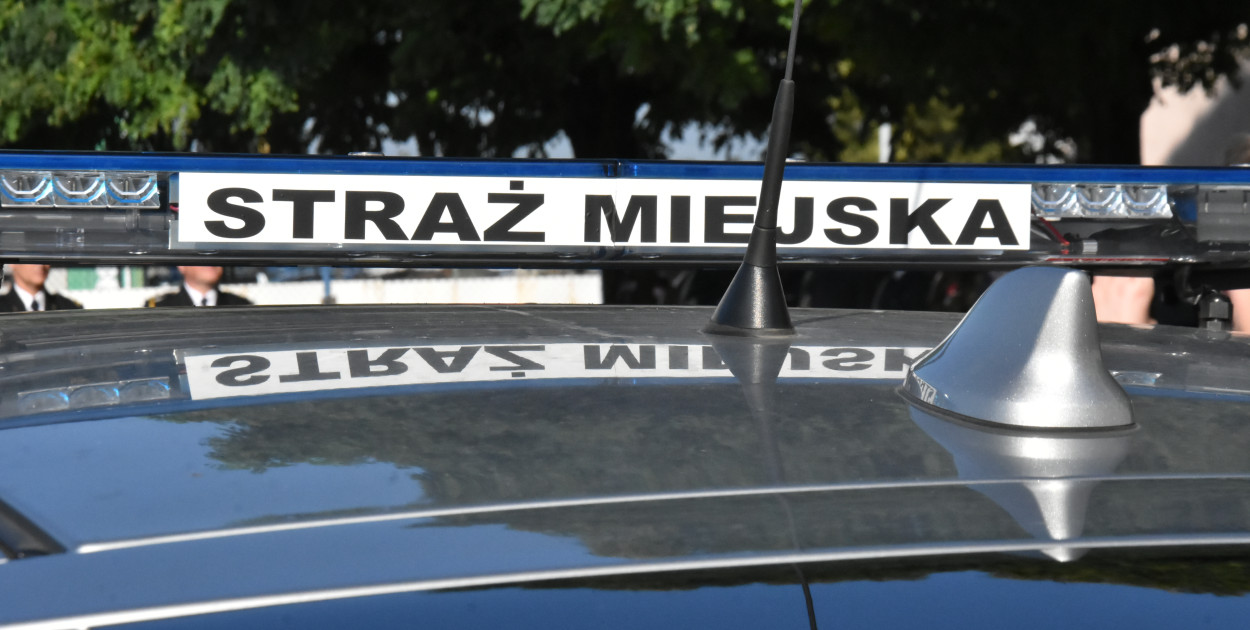 Zdjęcie ilustracyjne. Fot. SiecPortali.pl