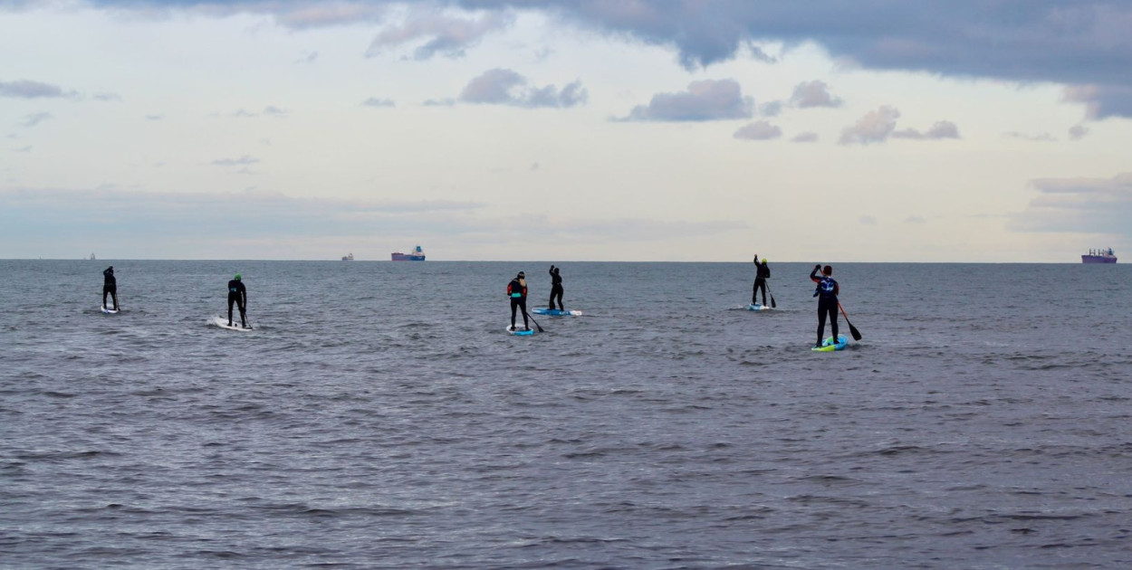 Fot. SKŻ ERGO Hestia Sopot