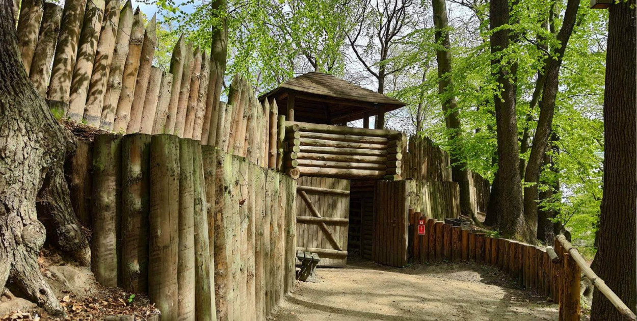 Materiały prasowe Muzeum Archeologicznego w Gdańsku