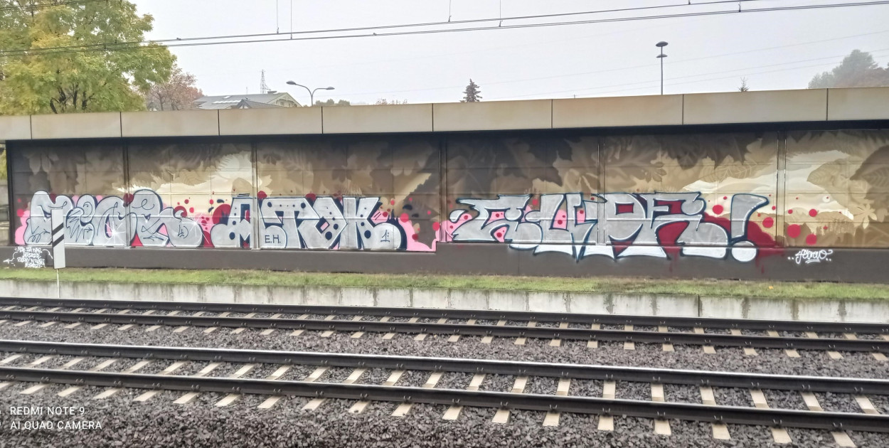 Fot. Straż Miejska w Sopocie