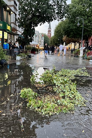 Sopot po burzowym armagedonie! Zniszczone parasole, powalone gałęzie, zalane ulice [FOTO]-806