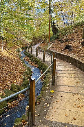 Romantyczny park i niezwykła historia – co skrywa Potok Elizy? [FOTO]-1457