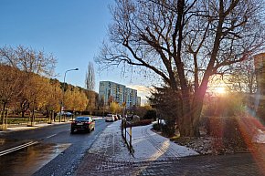 Zimowy falstart na Brodwinie? Pierwszy śnieg zaskoczył sopocian [FOTO]-1469