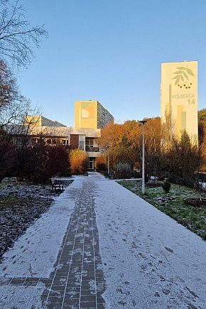 Zimowy falstart na Brodwinie? Pierwszy śnieg zaskoczył sopocian [FOTO]-1469