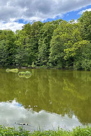 Oaza spokoju kilka minut od Monciaka! Morskie Oko w wiosennej odsłonie [FOTO]-1642