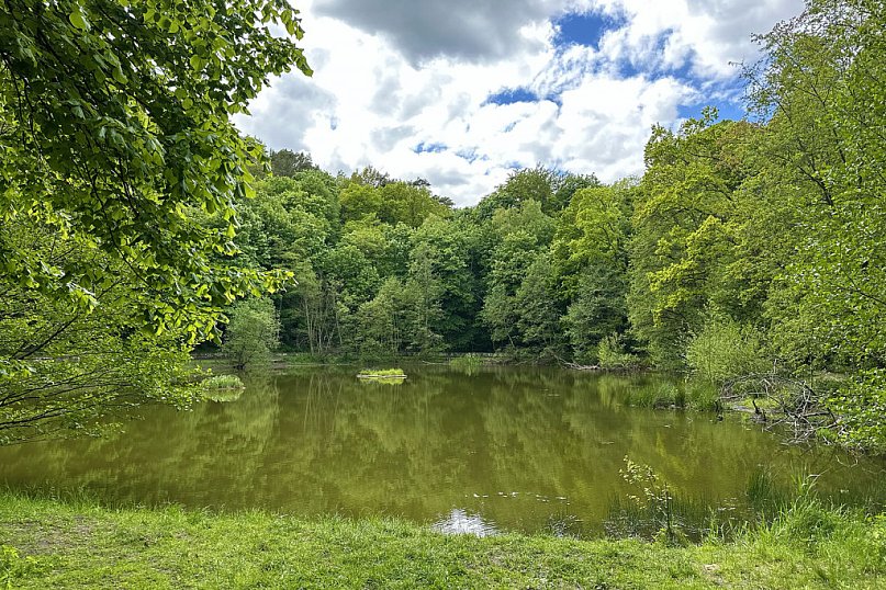 Oaza spokoju kilka minut od Monciaka! Morskie Oko w wiosennej odsłonie [FOTO]