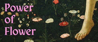 Zwiedzanie wystawy "POWER OF FLOWER" w Petit Atelier-7487