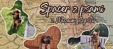 Spacer historyczno - przyrodniczy z pieskami po sopockich lasach-7863