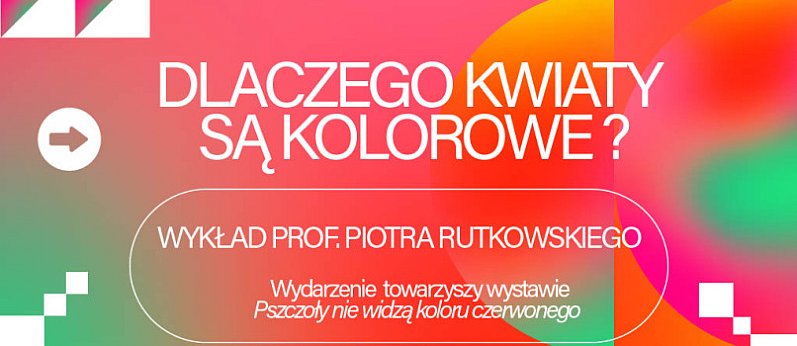 Wykład prof. Piotra Rutkowskiego: Dlaczego kwiaty są kolorowe?