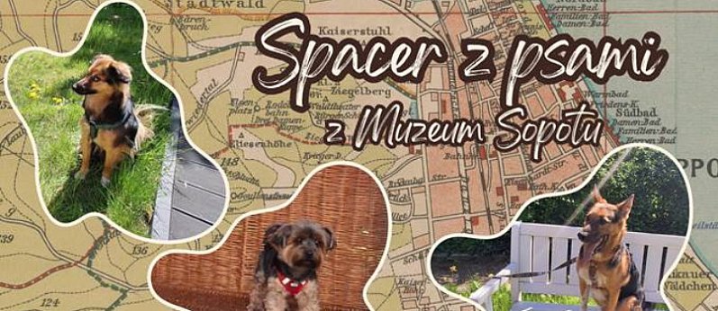 Spacer historyczno - przyrodniczy z pieskami po sopockich lasach