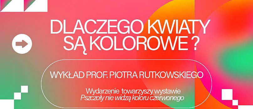 Wykład prof. Piotra Rutkowskiego: Dlaczego kwiaty są kolorowe?-7665