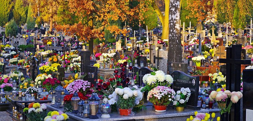 Jest jak Facebook dla zmarłych! Jak działa sopocki Grobonet?