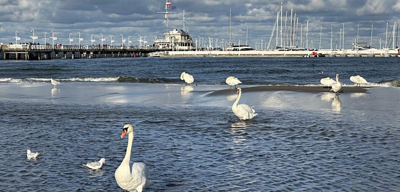 Dzień Zaduszny kieruje mnie nad morze… Refleksja z Sopotu i okolic