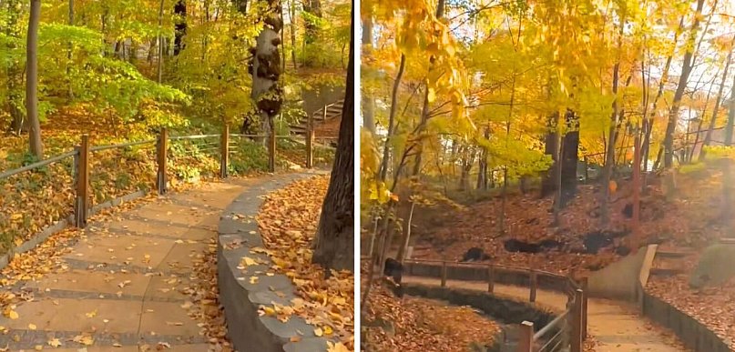 Czy to najpiękniejsze miejsce w Sopocie? Mało turystów je kojarzy [WIDEO]