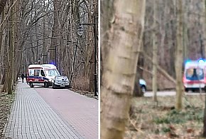Wypadek na alejkach nadmorskich w Sopocie! 65-latek rozbił auto na latarni-16611