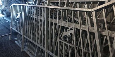 Piękne balustrady ozdobią schody w Sopocie! Nawiążą do tradycji jeździeckich-18893