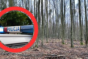 Makabryczne odkrycie w sopockim lesie. Spacerowicze znaleźli ciało kobiety-22511