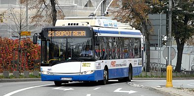 Linia 21 wróciła na ulice Sopotu. Sprawdzamy rozkład jazdy popularnych trolejbusów-22529