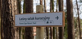Pierwszy spacer Leśnym Szlakiem Kuracyjnym w Sopocie