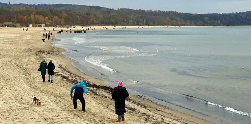 Jak zmienią się sopockie plaże? Plany poznamy już w grudniu - 28802