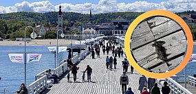 Czy ubytki w deskach na molo powinny niepokoić?