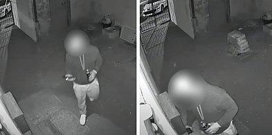 Nocny intruz na sopockim podwórku! Mieszkańcy apelują o czujność [WIDEO]-33130