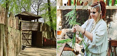 Powitanie lata na Grodzisku w Sopocie. Wianki, ognisko i słowiańska tradycja-33596