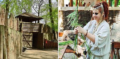 Powitanie lata na Grodzisku w Sopocie. Wianki, ognisko i słowiańska tradycja-33596