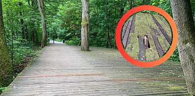 Co z pomostami w Parku Północnym w Sopocie?-33657
