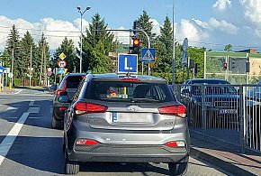 Egzamin na prawo jazdy będzie inny. Od 1 lipca nowe zasady-33752