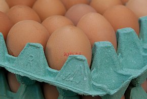 Salmonella na jajach znanej marki. Nie jedz, jeśli masz je w lodówce!-33950
