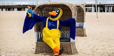 Stylowe kosze plażowe wracają do Sopotu! Letni relaks przy wejściu nr 23-34022