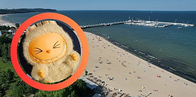 Labubu hitem nad Bałtykiem? Popularną zabawkę kupimy również w Sopocie-34322
