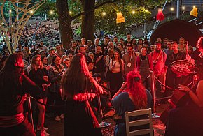 Najpiękniejsze koncertowe noce tego lata! Relacja z Brasswood Festival 2025-34606
