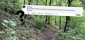 Łoś w centrum sopotu. Kiedy w końcu powstanie rezerw...
