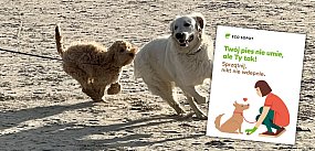 ECO Sopot rusza z nową kampanią społeczną