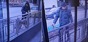 Ukradł psa sprzed sklepu w Sopocie