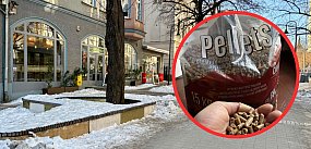 Brakuje opału w całym Trójmieście [LIST]