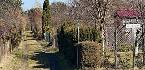 Ile kosztuje własny kawałek zieleni w Sopocie?