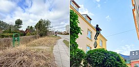 Sopot: Walka z dzikim wynajmem i plany na trzcinowisko